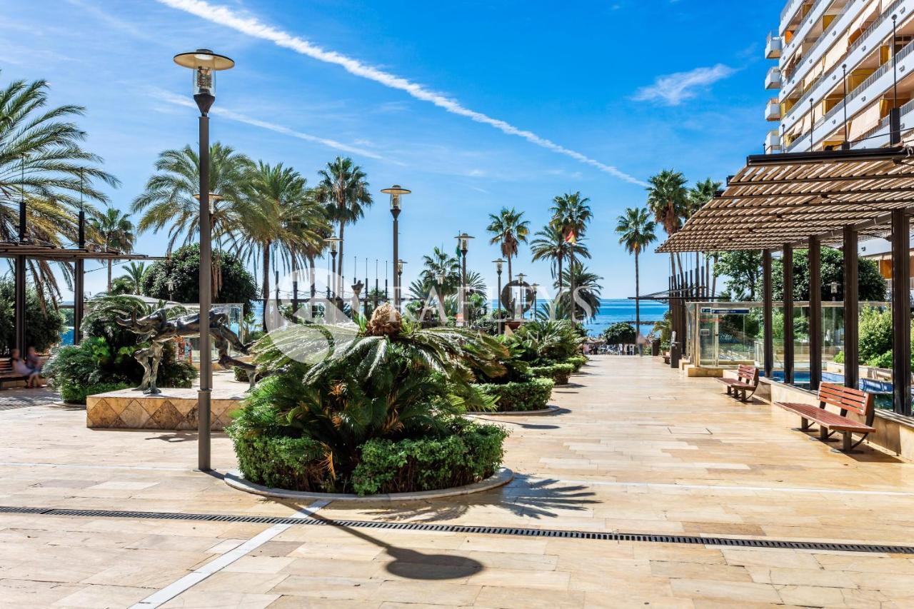Apartment Modern 1 Bedroom In Very Center Of Marbella. *